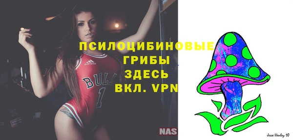 стаф Балахна