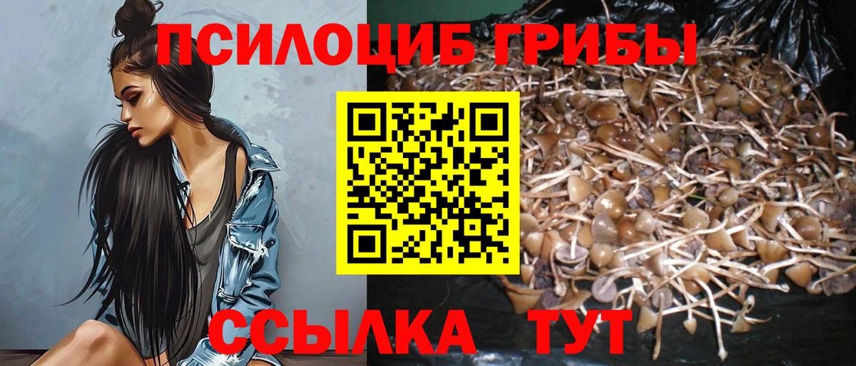 Псилоцибиновые грибы мухоморы Вольск