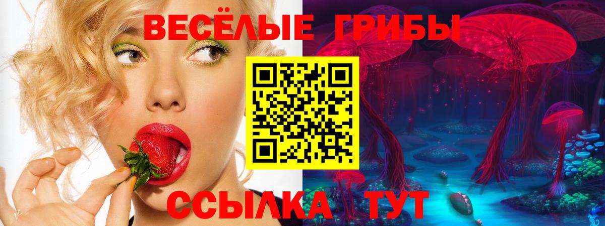 Магазин наркотиков  МАРИХУАНА  ГАШИШ  Вольск  Меф   ГАШИШ  Вход с VPN  ЭКСТАЗИ 